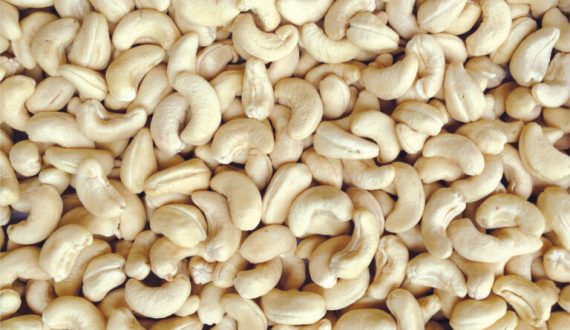 myan-cashew-exporter-ww-320-white-wholes-768x502